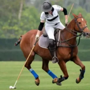 Polos